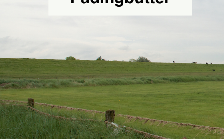 Ortsfamilenbuch Padingbüttel